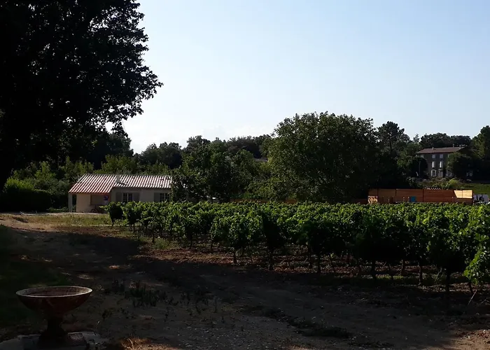 La Petite Maison Dans Les Vignes
