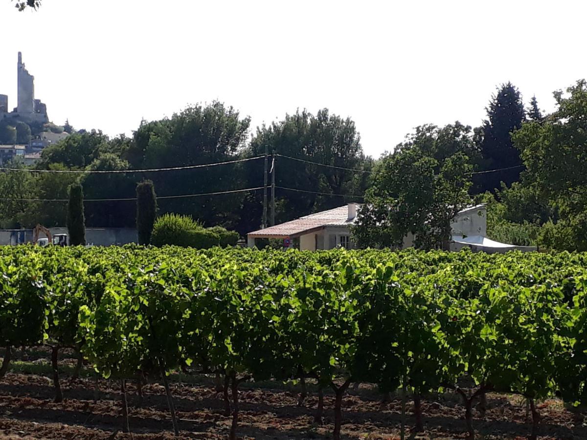 La Petite Maison Dans Les Vignes *