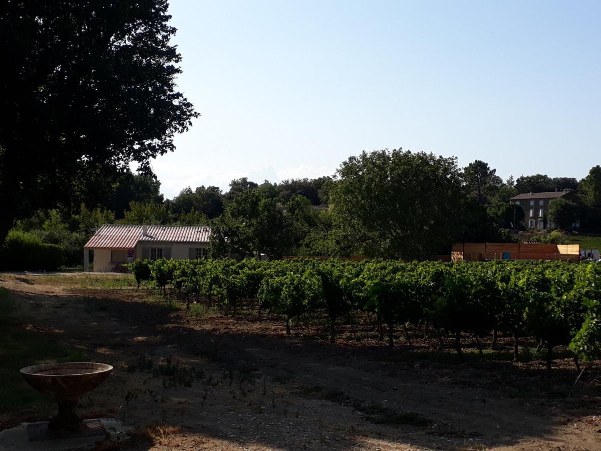 La Petite Maison Dans Les Vignes Holiday home *